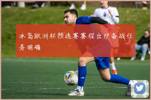 冰岛欧洲杯预选赛赛程出炉备战任务明确