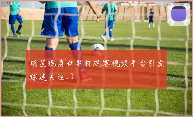 明星现身世界杯观赛视频平台引发球迷关注_1