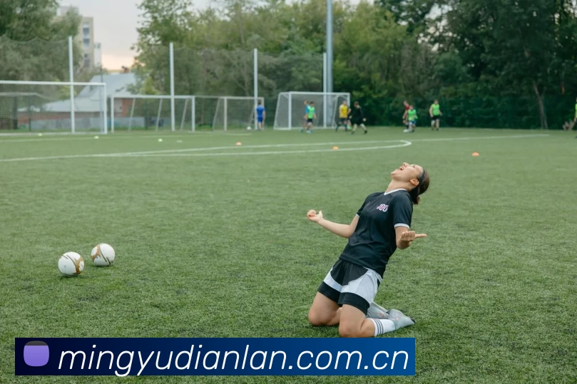 滚球买球的app官网品牌故事