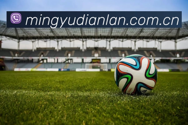 滚球买球的app官网服务体系