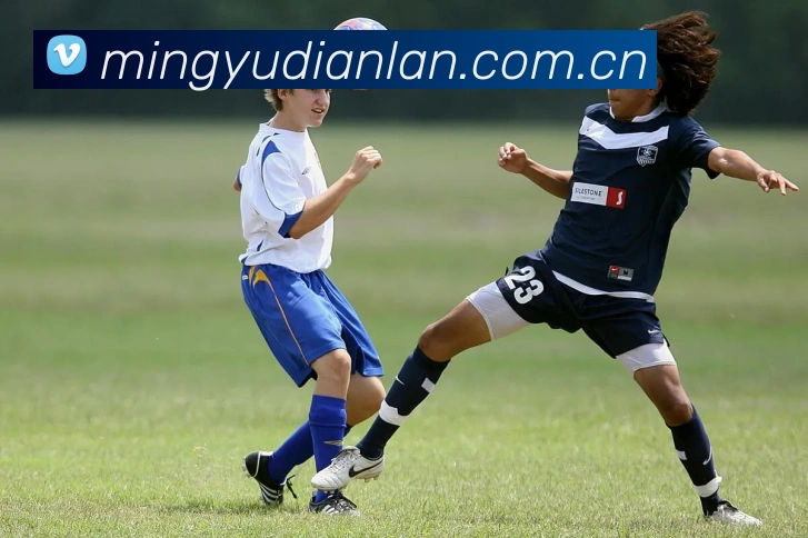 APP界面展示
